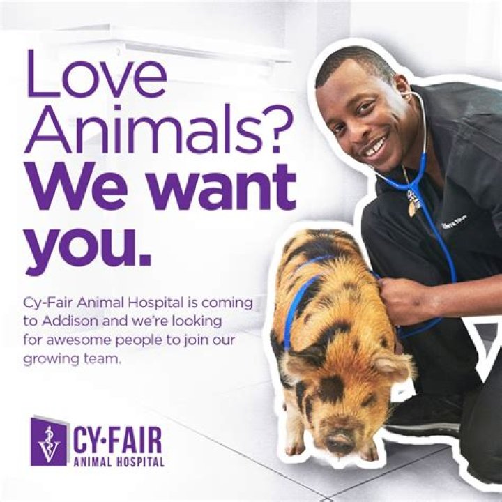 "Cy-Fair Animal Hospital Lawsuit Outcome" And Its Far-Reaching Implications