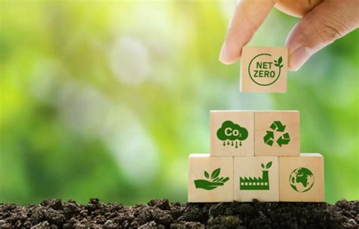 Discoveries And Insights For A Sustainable Future